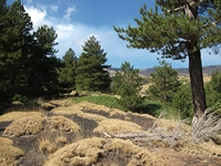 Torrente_Quarantore - 20110911 110.jpg